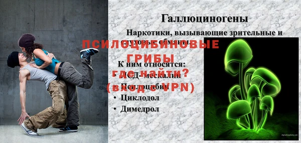 шишки Алексин