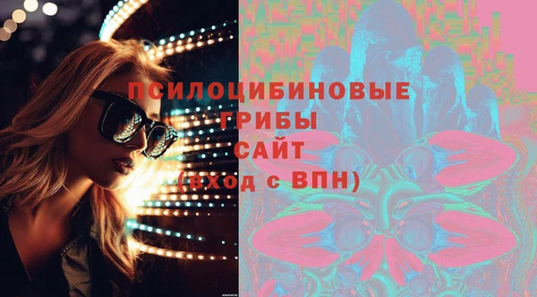 винт Абаза