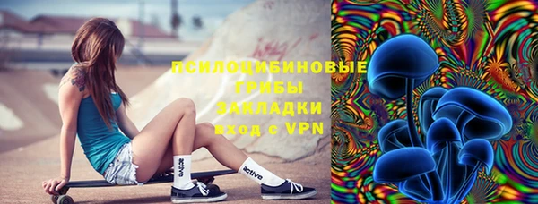 винт Абаза